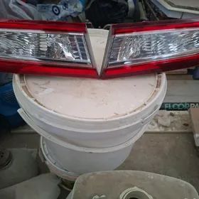 palta kemrin zapcasti