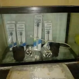 AKWARUM АКВАРУМ