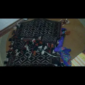 gadymy zat düýe dyzlyk, halygy