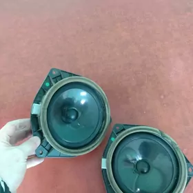 kalonka radnoy lexus