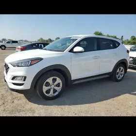 SORENTO TUCSON 11-24