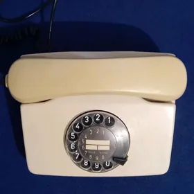 ДОМАШНИЙ ТЕЛЕФОН