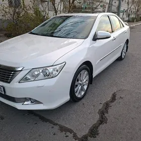 Toyota Aurion 2013