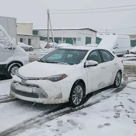 Toyota Corolla 2017