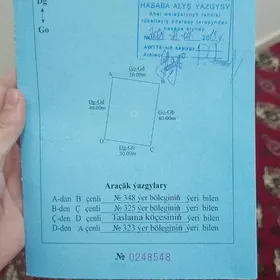 Anew onaldy mellek yer