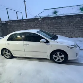 Toyota Corolla 2010