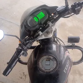 Fekon FK200-14G 2018