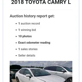 Toyota Camry 2018