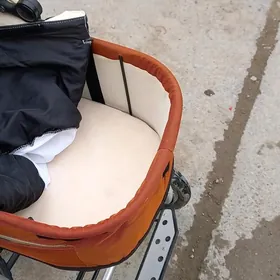 детская коляска трансфер