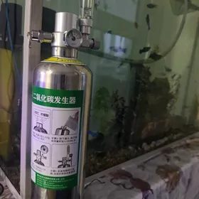 Co2 балон 1 литр