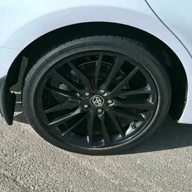 22 xse kemrin rodnoy diskasy