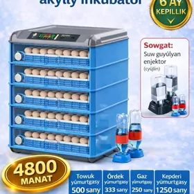 inkubator