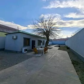 BAGYR БАГЫР MIREWE ARZAN PLAN