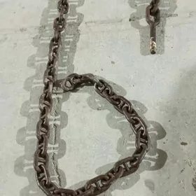 tros zynjyr kran kran uly masy