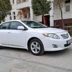 Toyota Corolla 2010