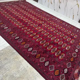 Haly ini 2.5 boýy 4.5