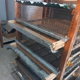 bedene ketek. клетка для переп