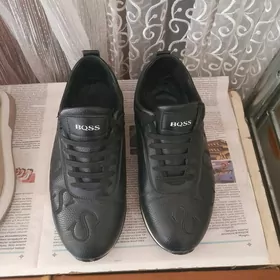 gara krosowka erkek oglanlara