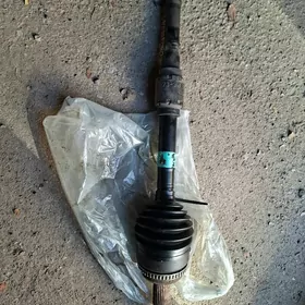 граната палта