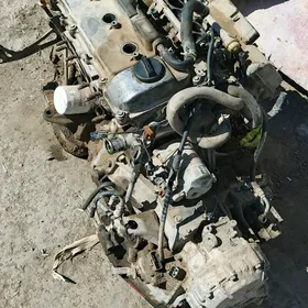 30 lik mator karopgadvitil