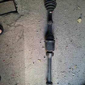 граната палта