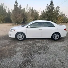 Toyota Corolla 2010