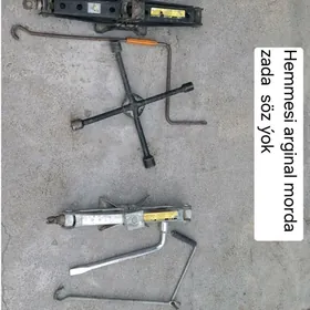 Damkyrat haýlandyr siýena