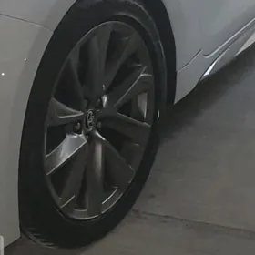 18 lik diska pakryska