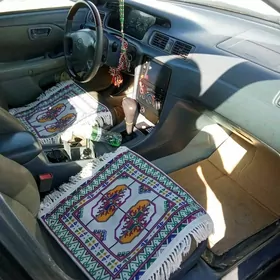 Toyota Camry 2001