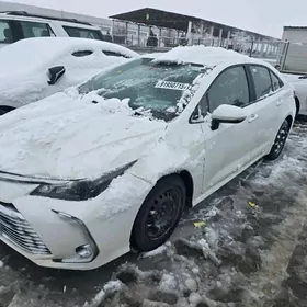 Toyota Corolla 2022