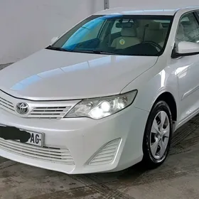 Toyota Camry 2013
