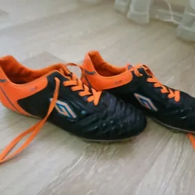 orginal dugana butsy