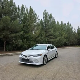 Toyota Camry 2020