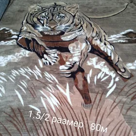 ПЛЕТ ОДЕЛО.