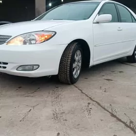 Toyota Camry 2002