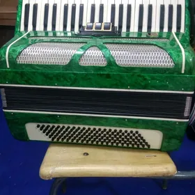 Akardeon Akkordeon