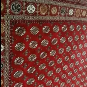 Haly gyzyl golli daroşka