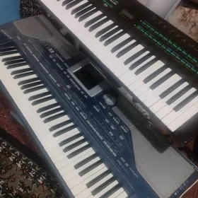 Pa. 800. bilen. ýamaha. DX 21.