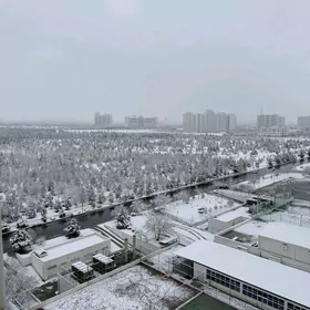 Maskowskiý elitka Московская