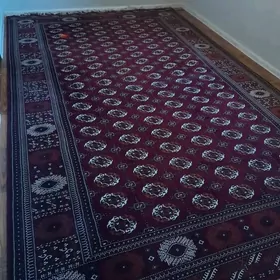 HALY DAROŞKA PALAS KOWER.