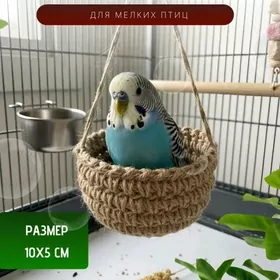 Канарейки амадинки гнезда