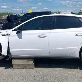 N line parok парок 2024 - 2025