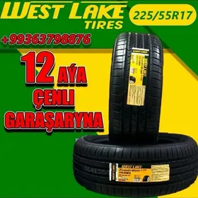 🚨GARAŞARNA TEKER 225/55R17