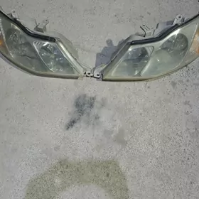 çyra fara duty awalon