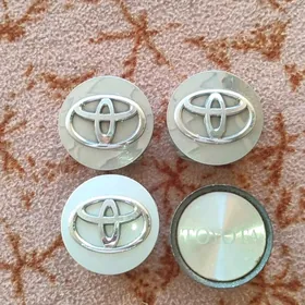 disgañ ortasyndaky gapak