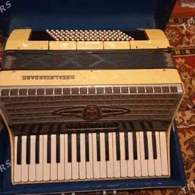 аккордеон/ Akkordeon