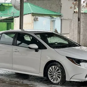 Toyota Corolla 2023