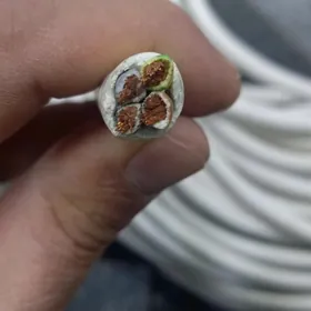 4×4 arginal borsan mis kabel