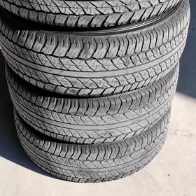 265 65 17 Dunlop 23Ý