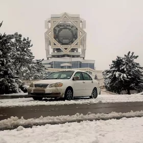 Toyota Corolla 2007